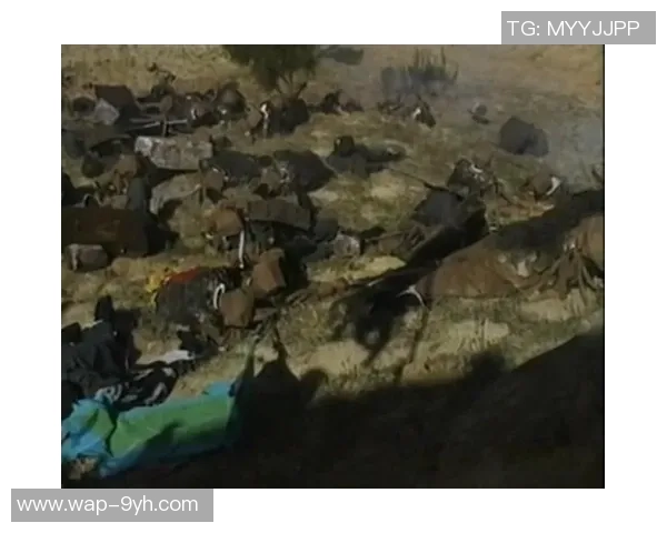 耻辱足球背后的真相与反思揭示了体育精神的扭曲与道德的沦丧 耻辱足球背后的真相与反思揭示了体育精神的扭曲与道德的沦丧